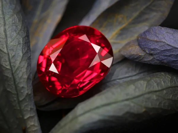 the-ruby-gemstone-everything-you-ever-needed-to-know-about-rubies-748231